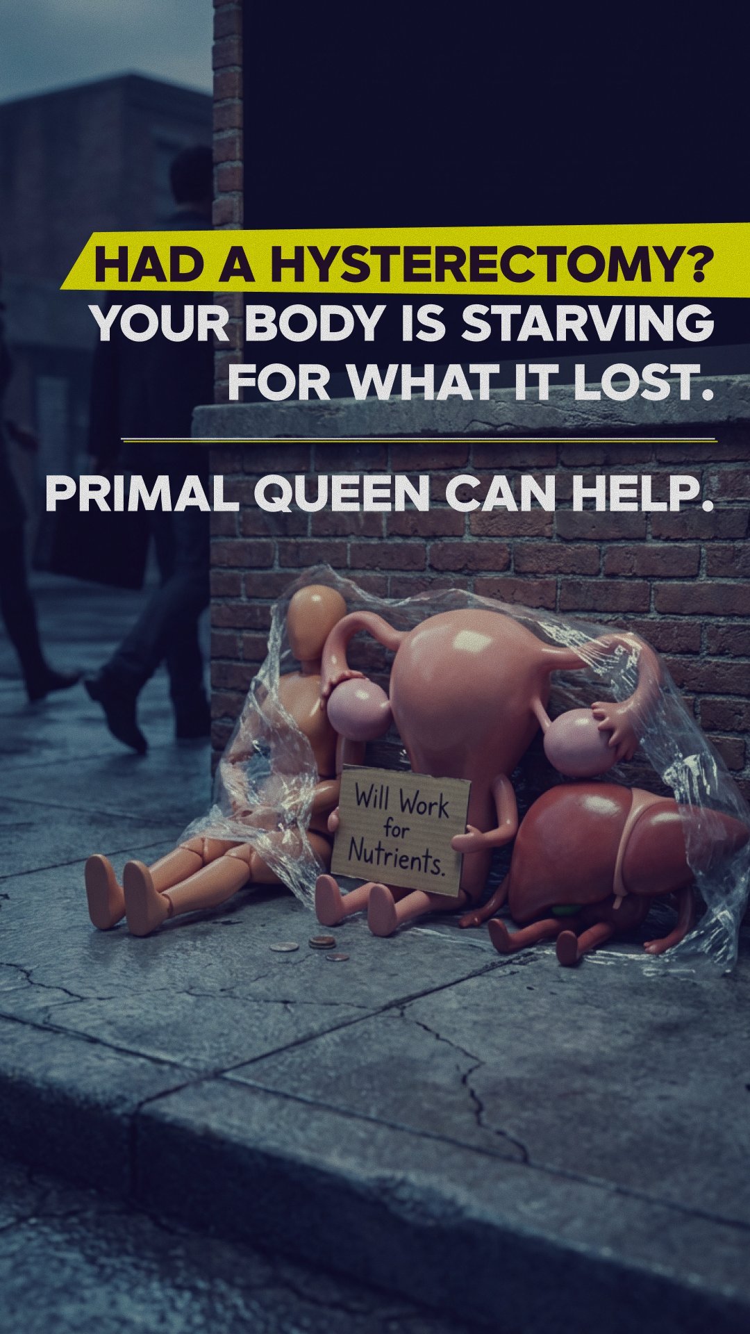 Image ad example 6