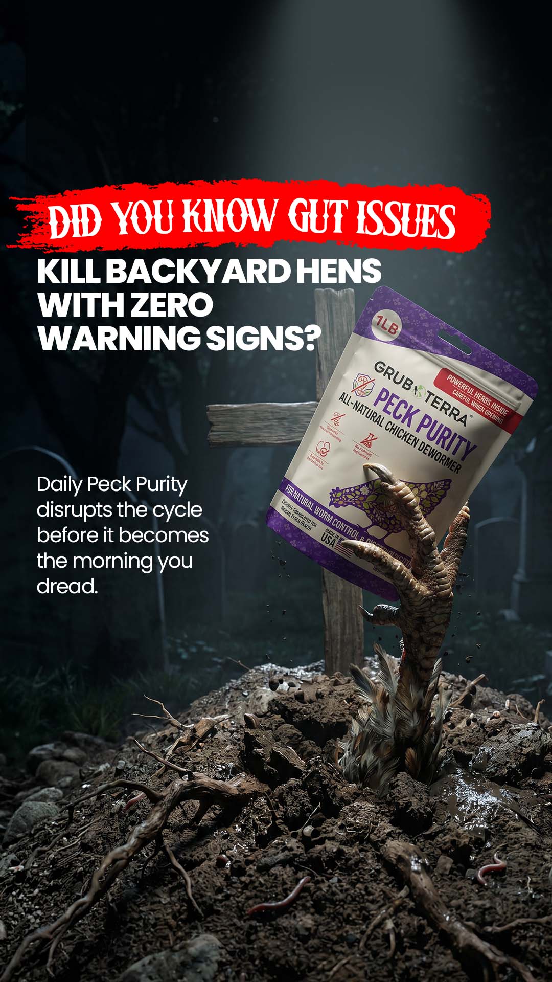 Image ad example 7