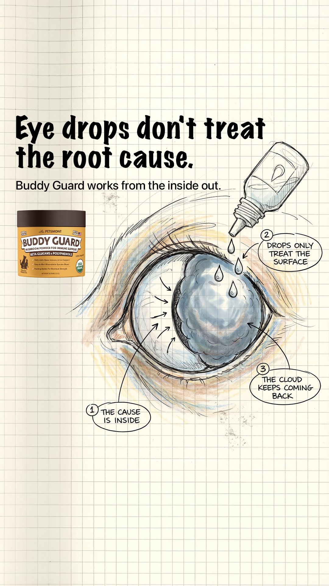 Image ad example 23