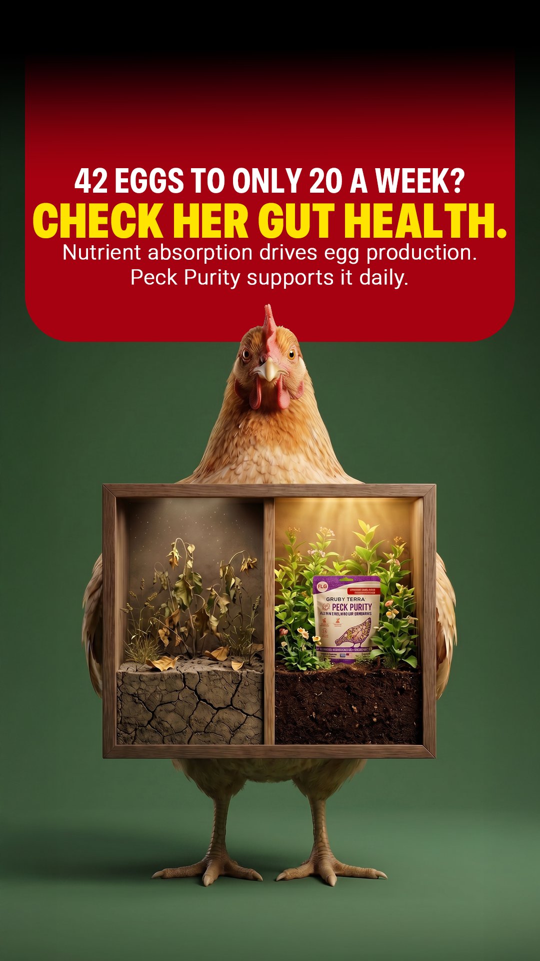 Image ad example 27