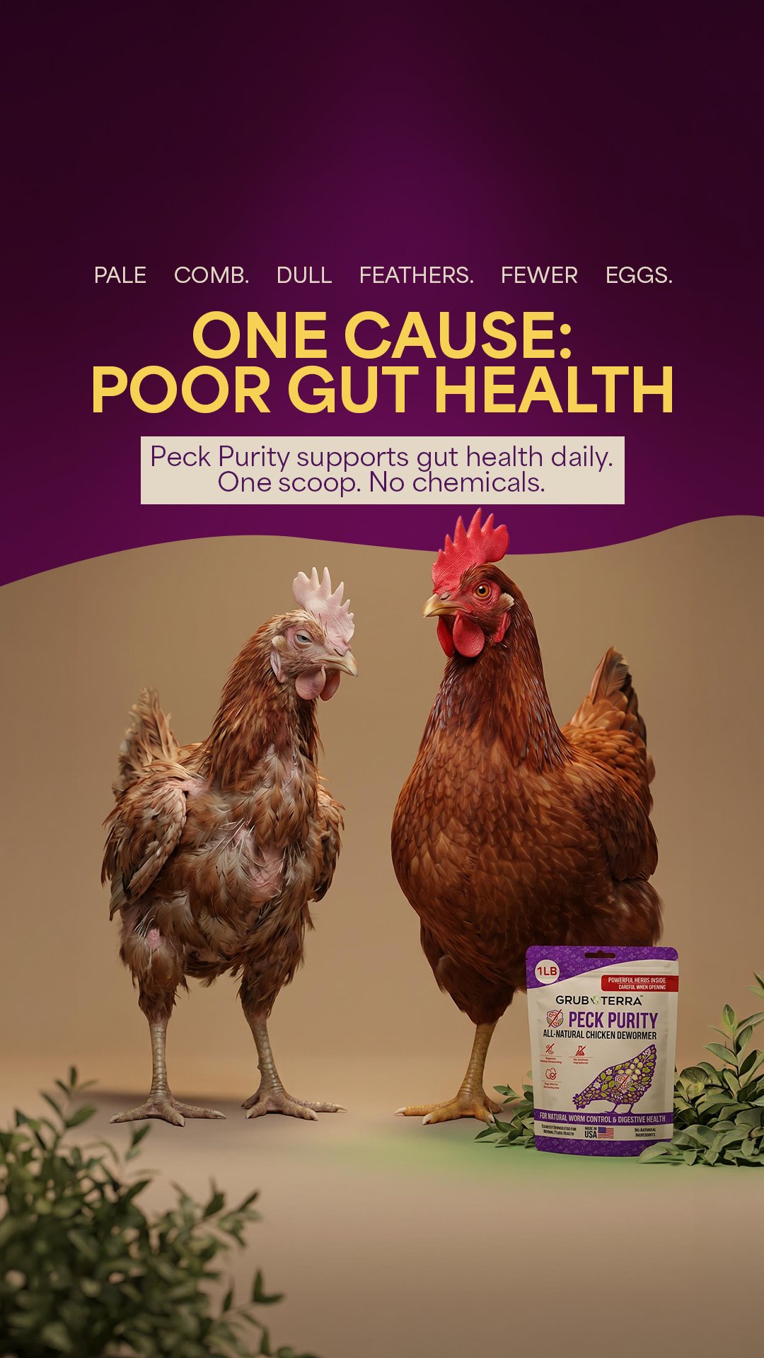Image ad example 28