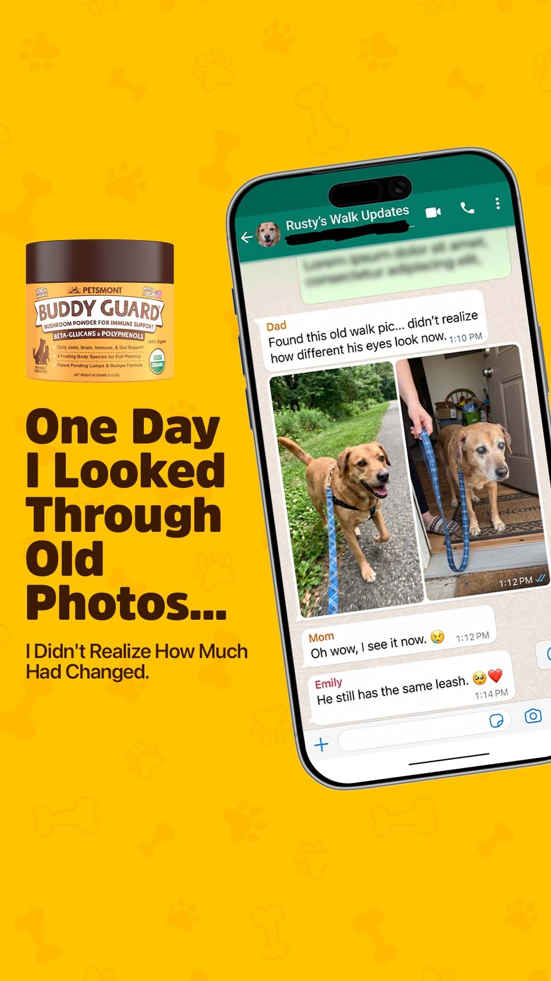 Image ad example 47