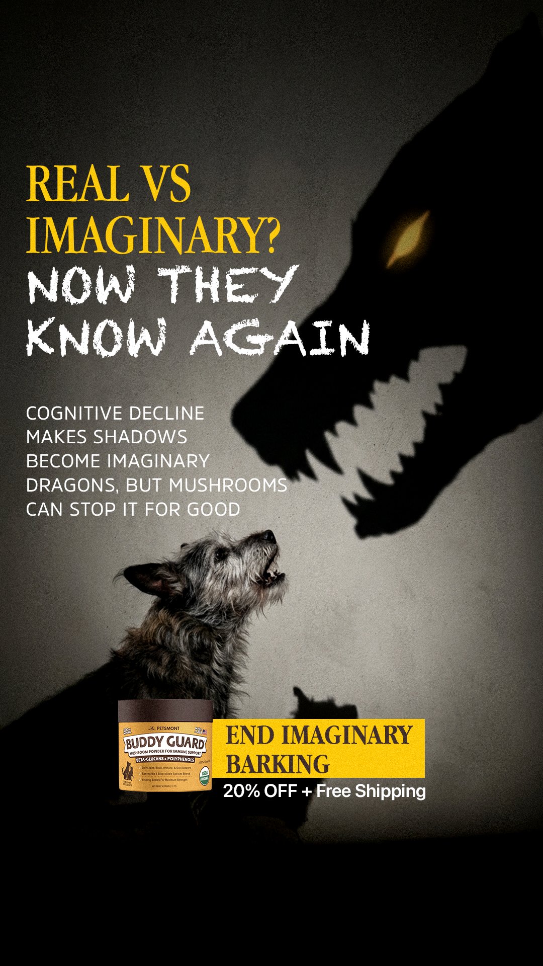 Image ad example 50