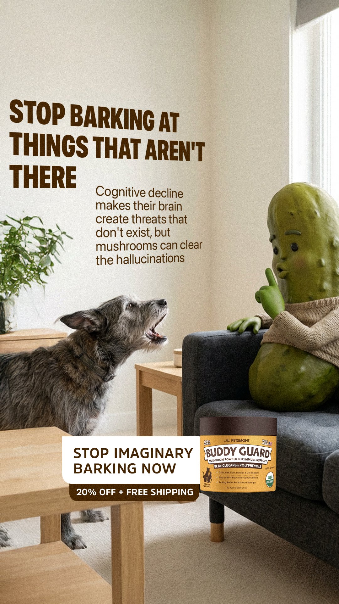 Image ad example 51
