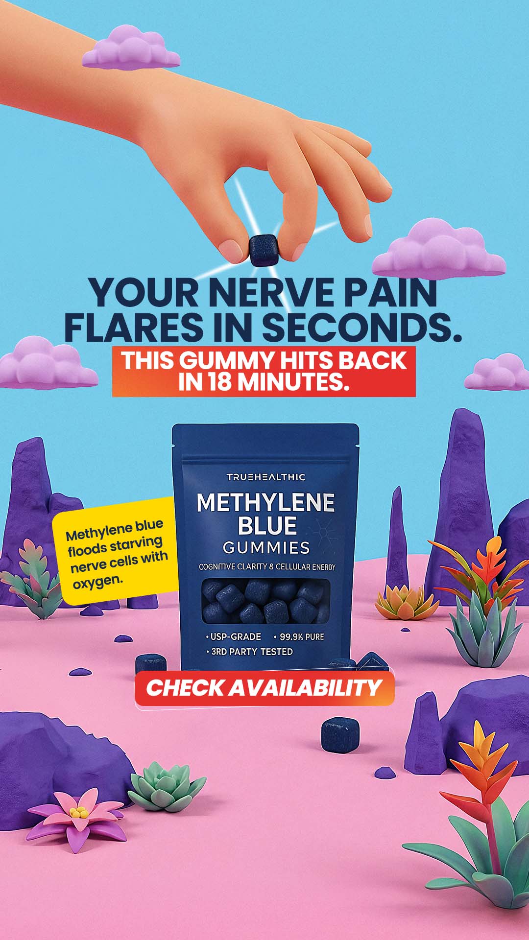 Image ad example 31