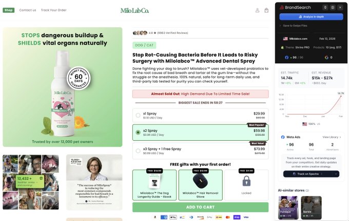 This new store went from nothing to 14k monthly visitors in one month